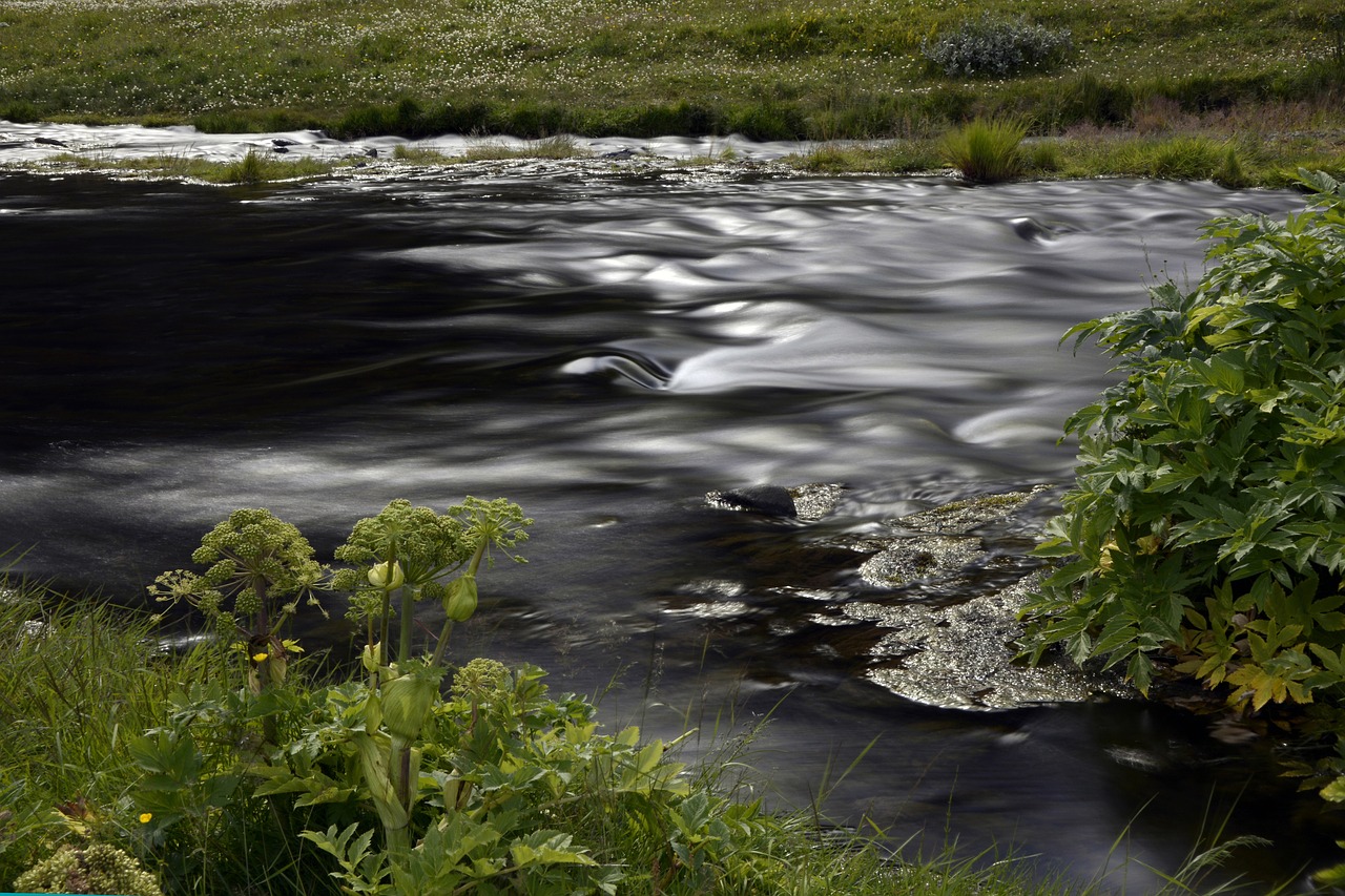 seljalandasfoss river flow free photo