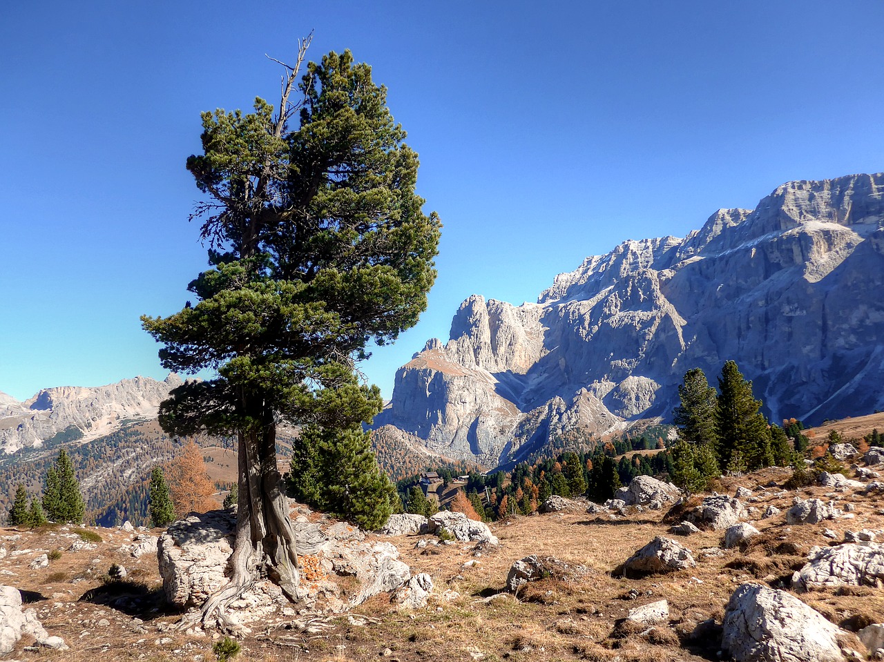 sella yoke  dolomites  alpine free photo