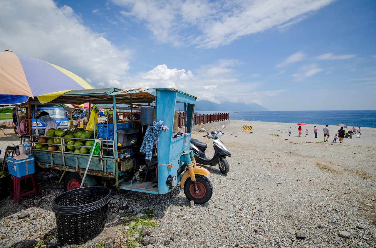 selling coconuts blue van beach free photo