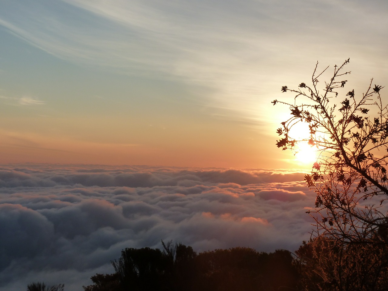 selva marine sunrise kilimanjaro free photo