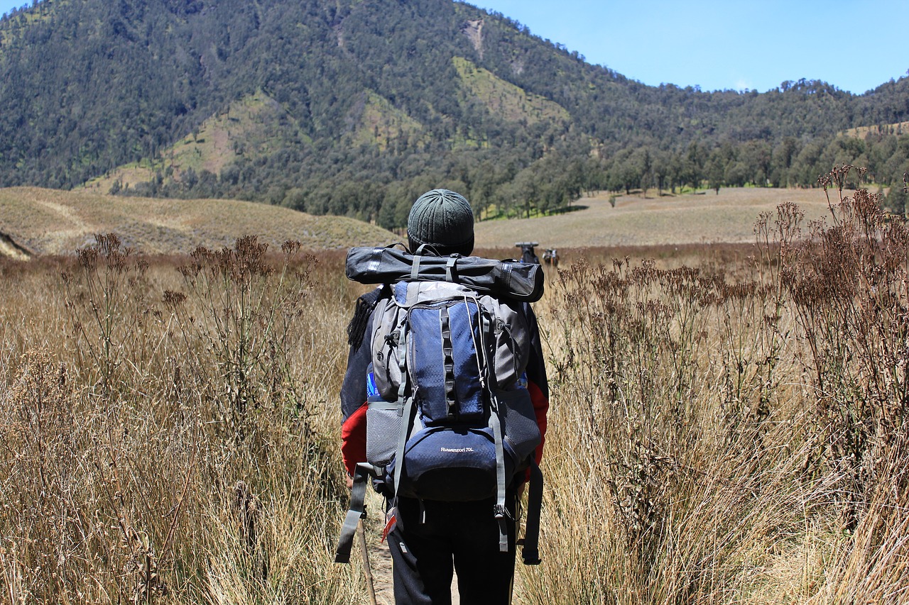 semeru mount dry season free photo