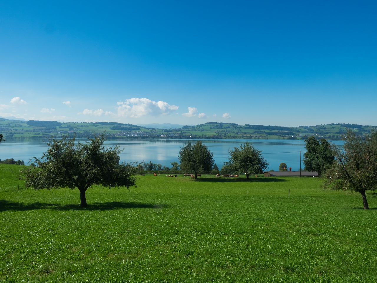 sempachersee sursee switzerland free photo