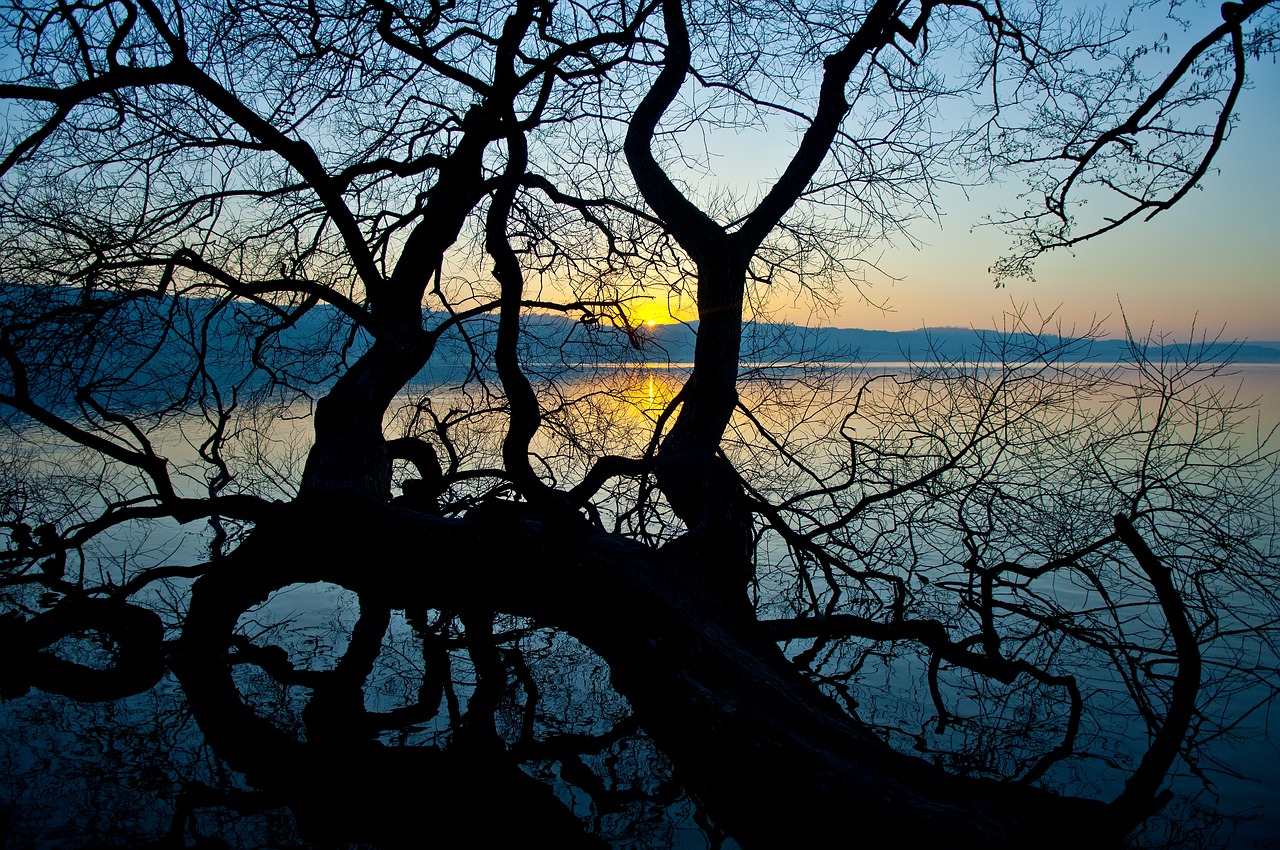 sempachersee sempach lake sempach free photo