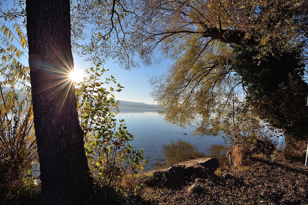 sempachersee sempach lake sempach free photo