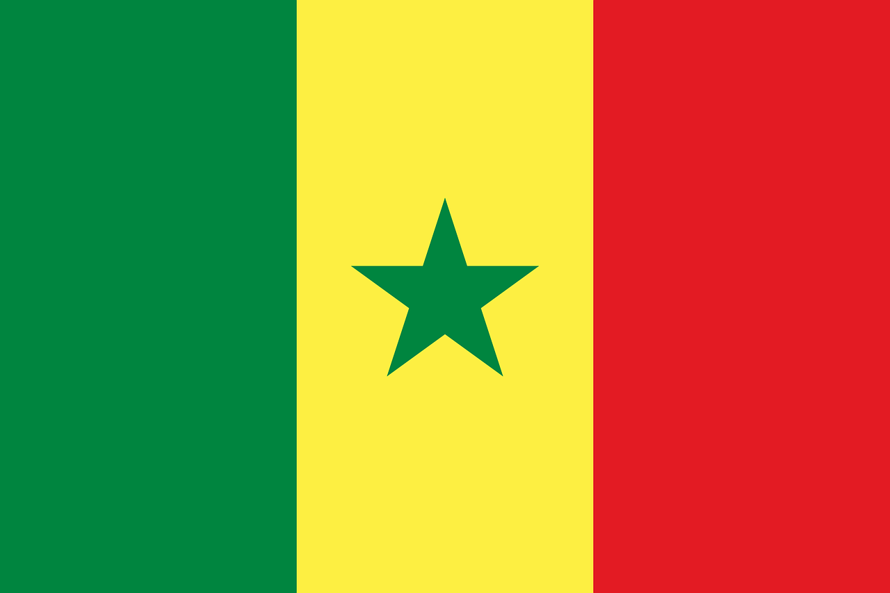 senegal flag national flag free photo