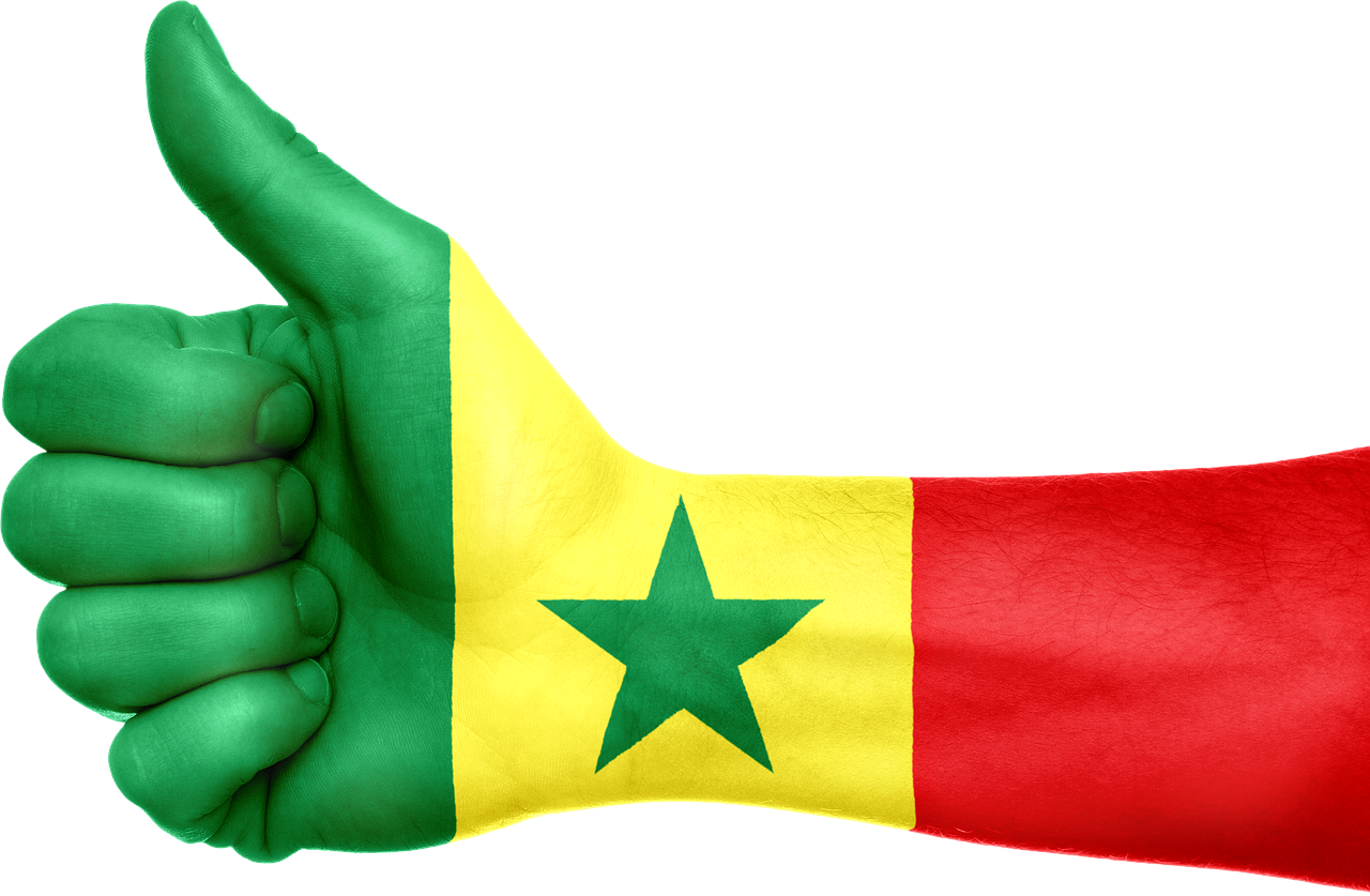 senegal flag hand free photo