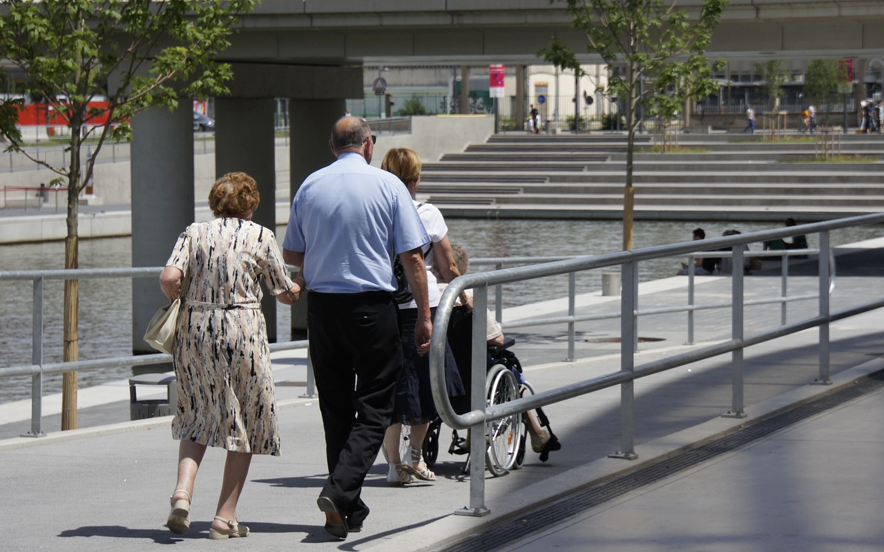 senior lyon wheelchair free photo