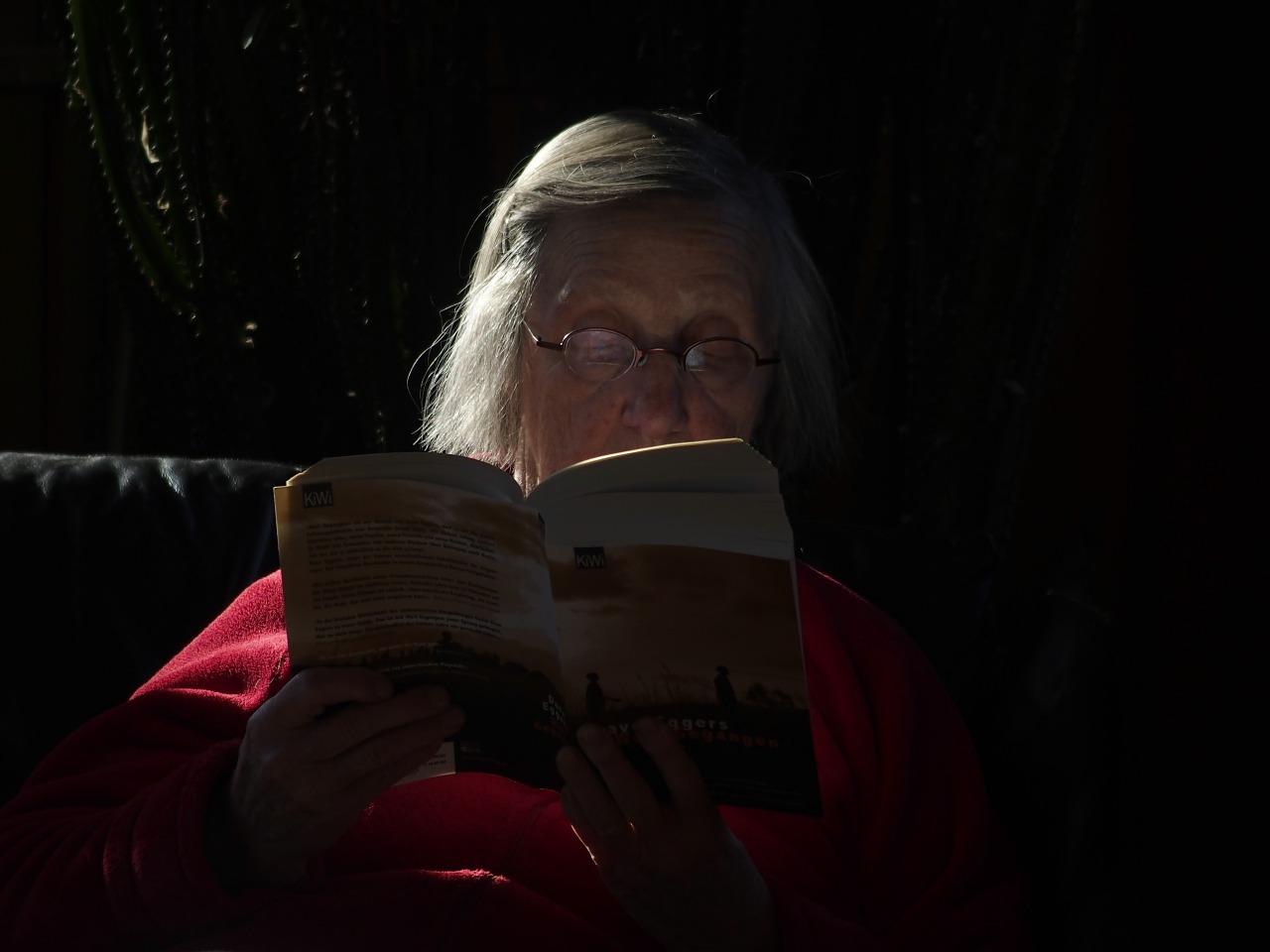 seniorin old woman age free photo
