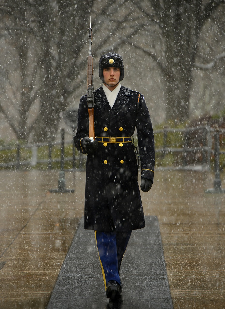 sentinel tomb of unknown soldier guard free photo