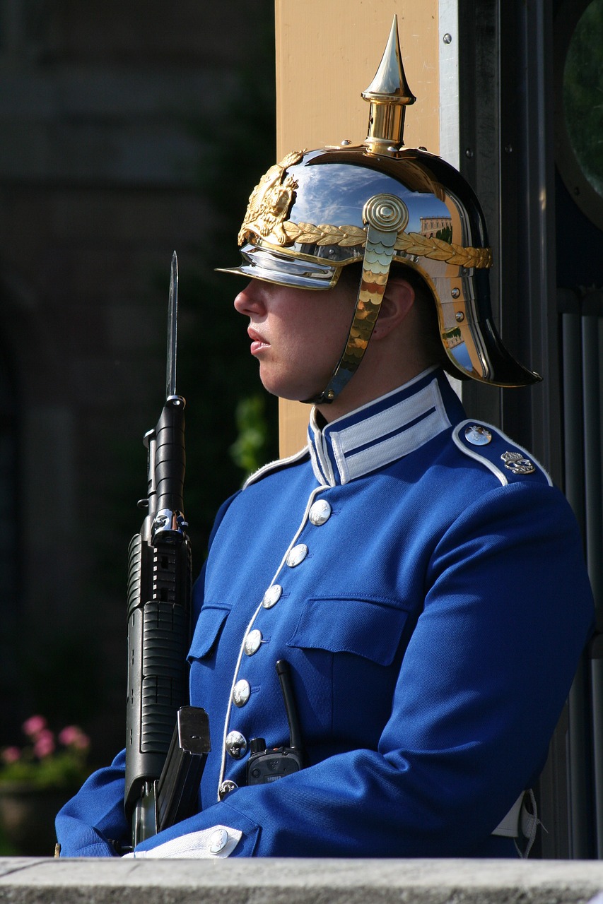 sentry guard stockholm free photo