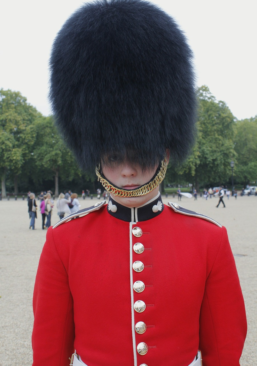 sentry marching palace guard free photo