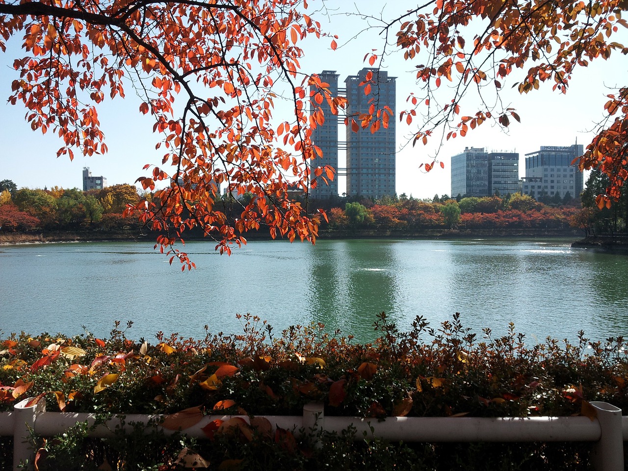 seokchon lake lake palace autumn free photo