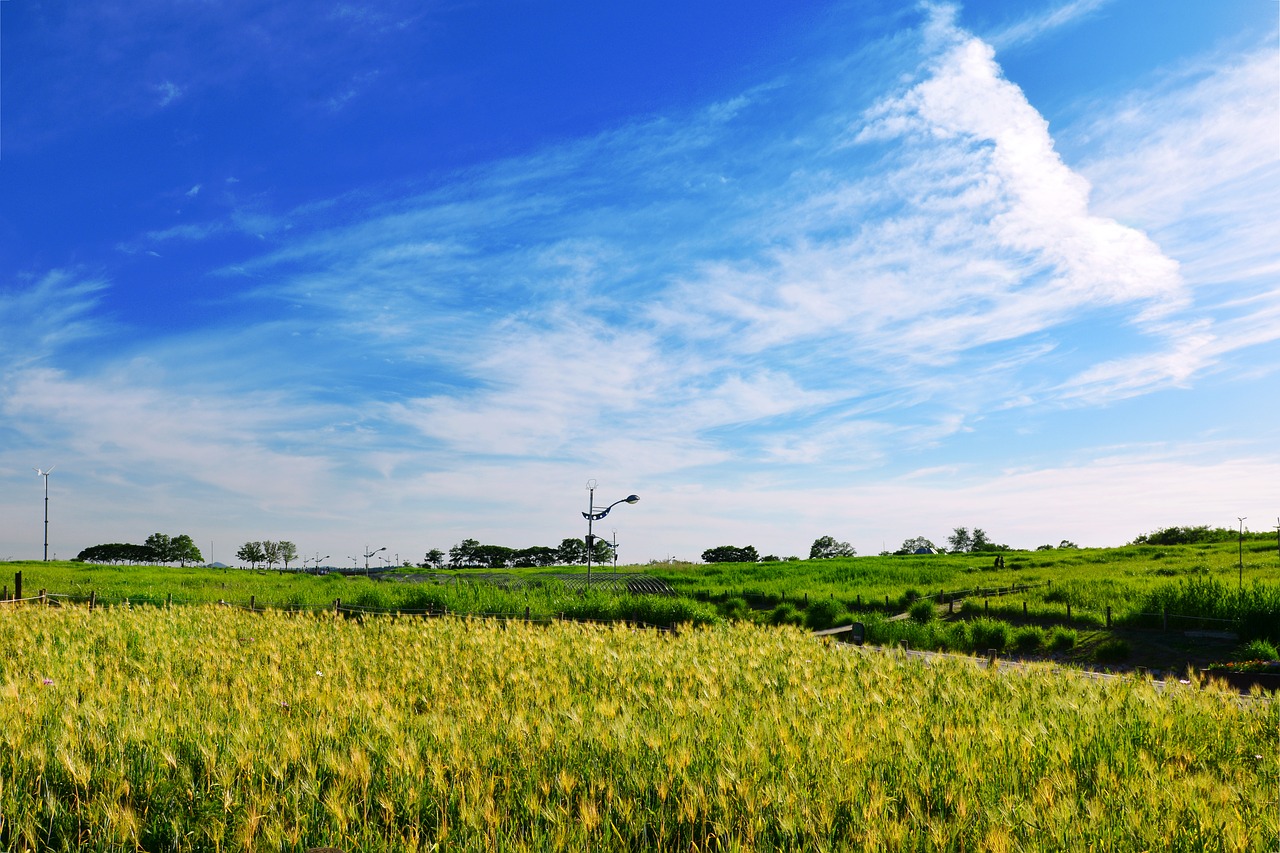 seoul cloud sky free photo