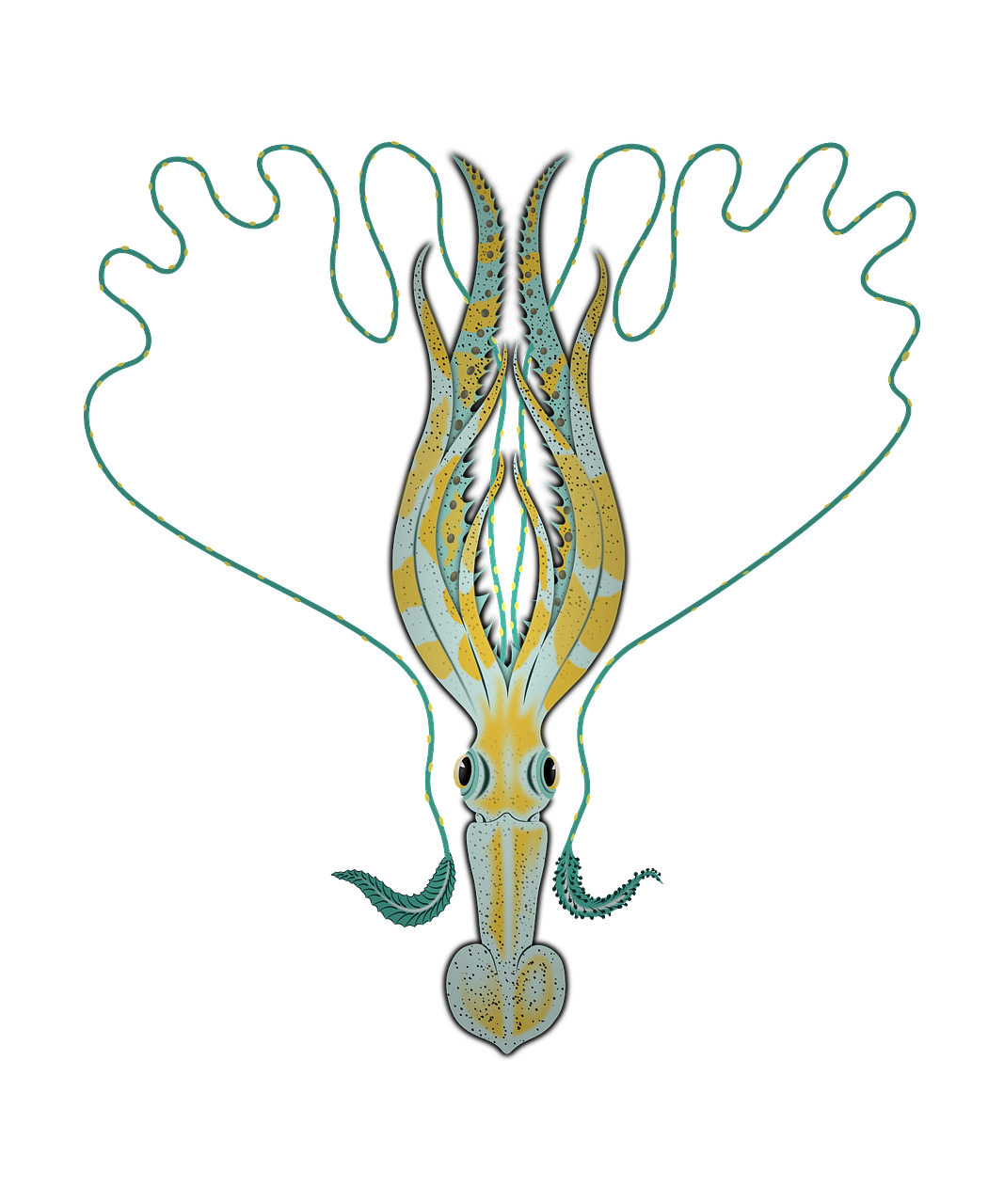 sepia squid tentacle free photo
