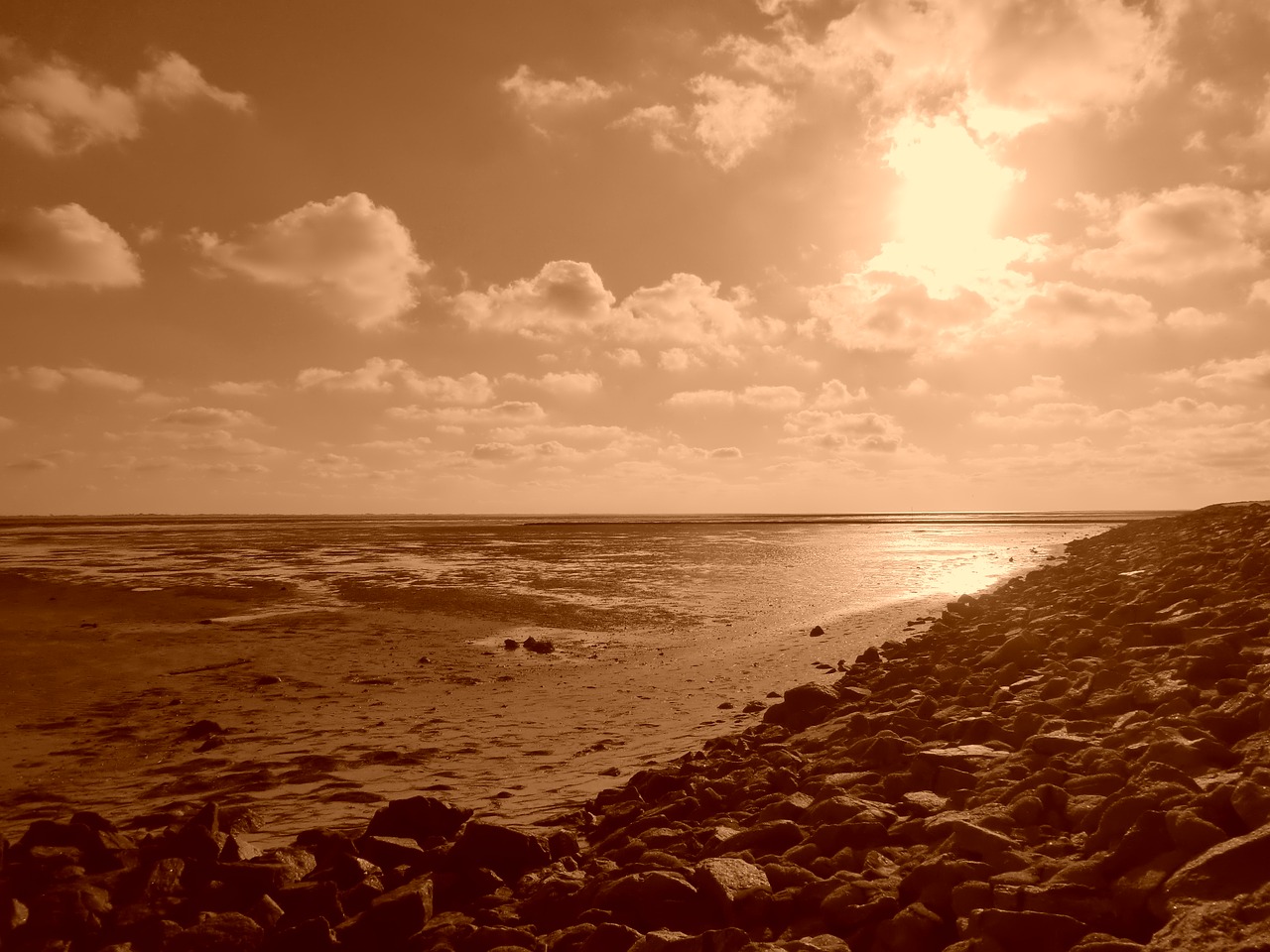 sepia landscape north sea free photo