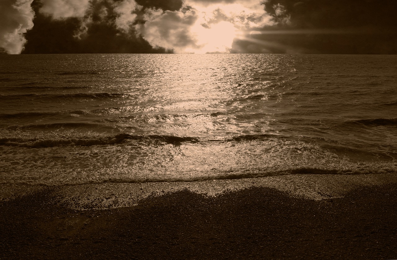 sepia sea ocean free photo