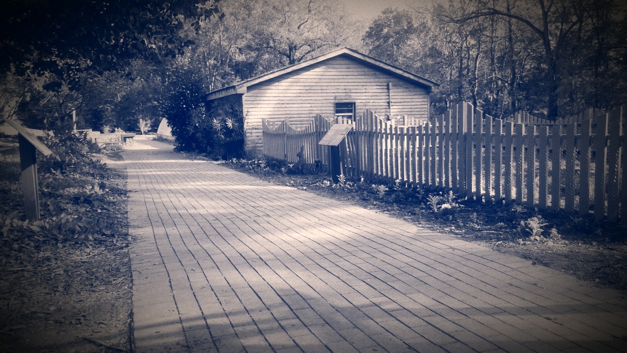 sepia clemson walkway free photo