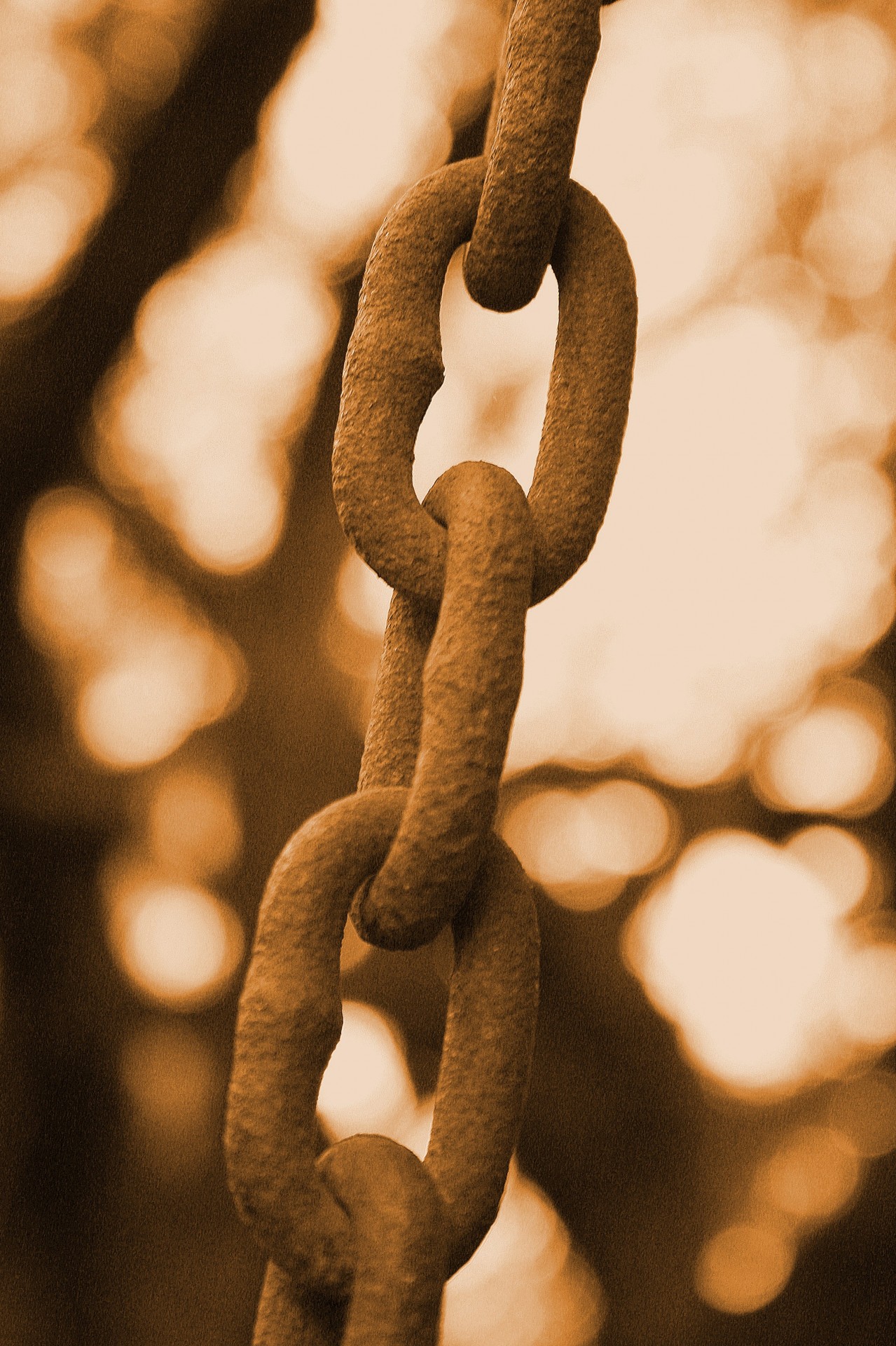chain strong sepia free photo