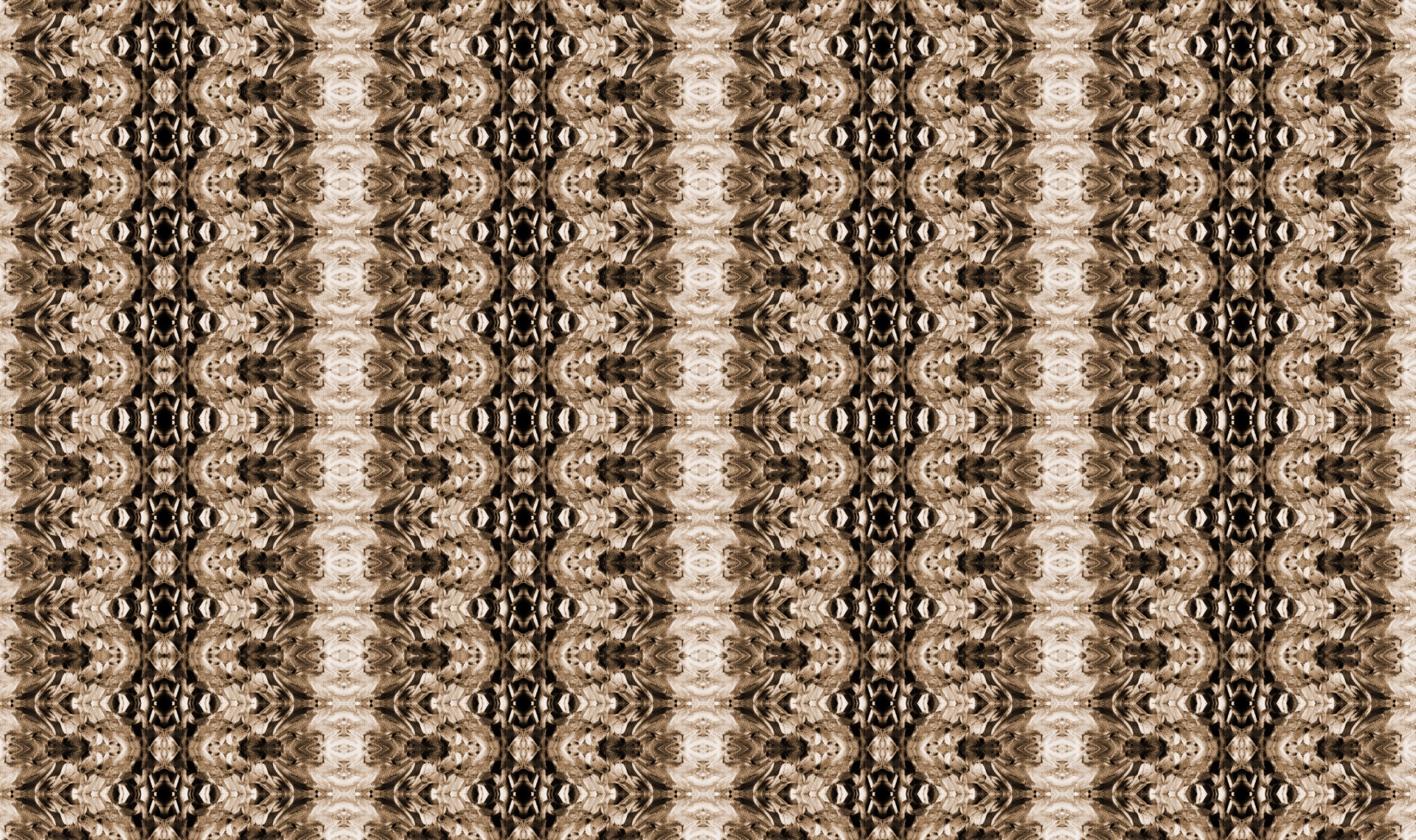 pattern brown decorative free photo