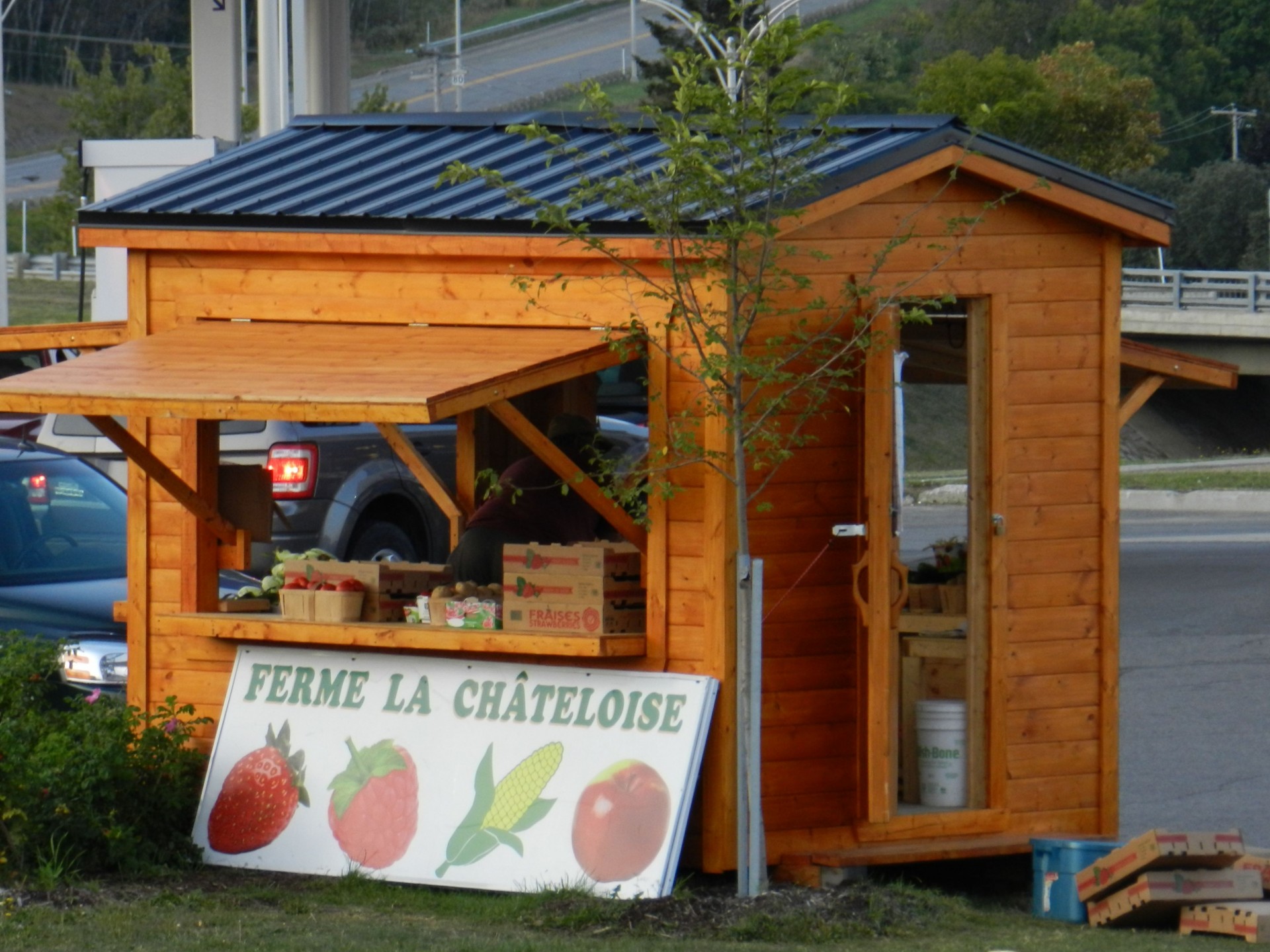 kiosk fruits vegetables free photo