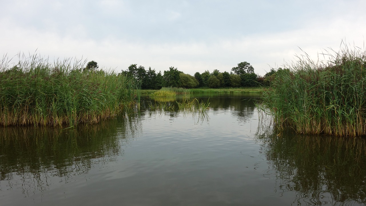 serene quiet water free photo