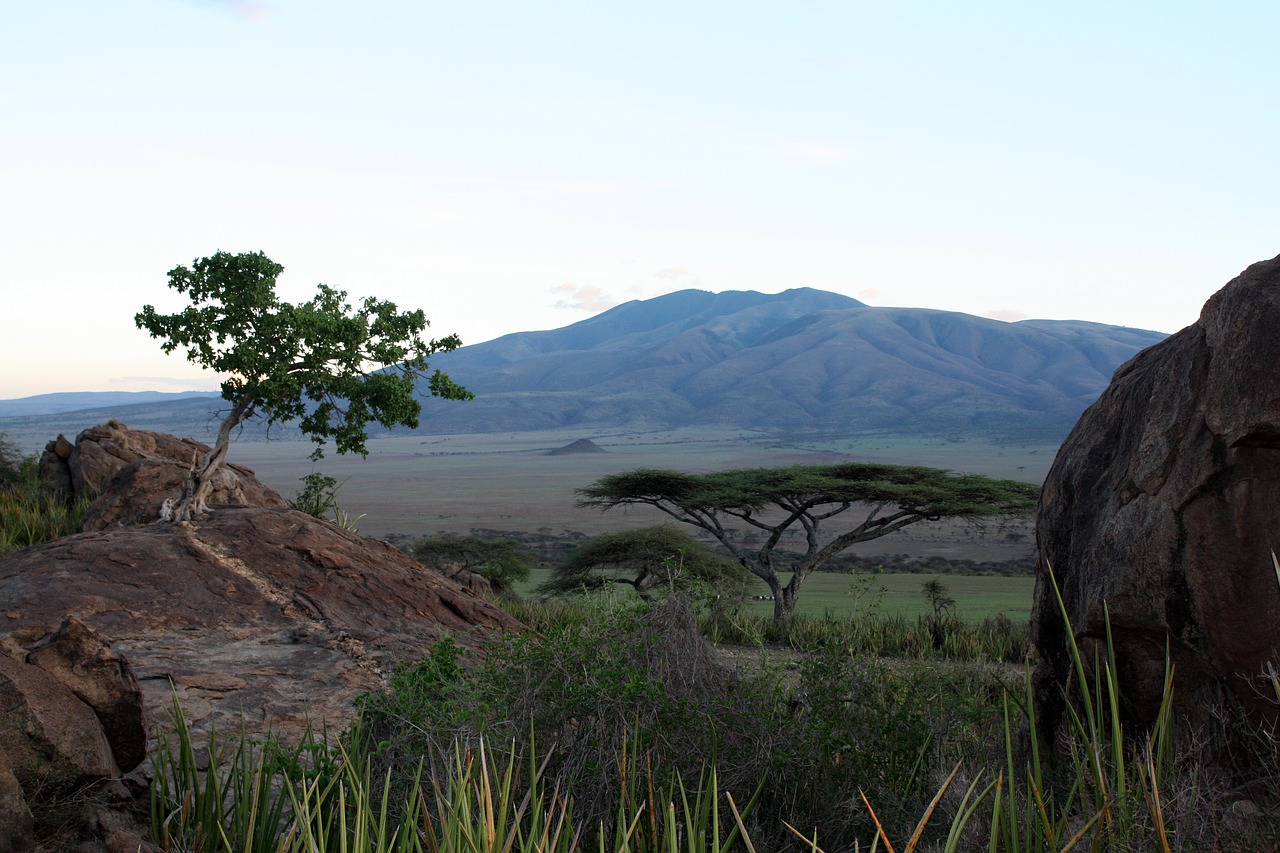 serengeti tanzania africa free photo