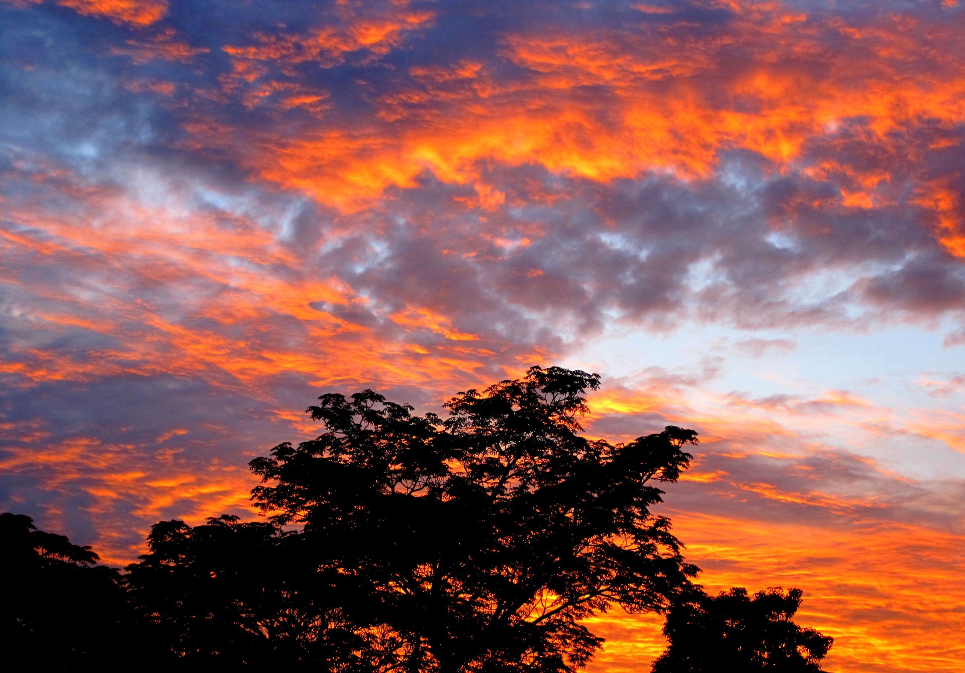 sky sunset fiery free photo