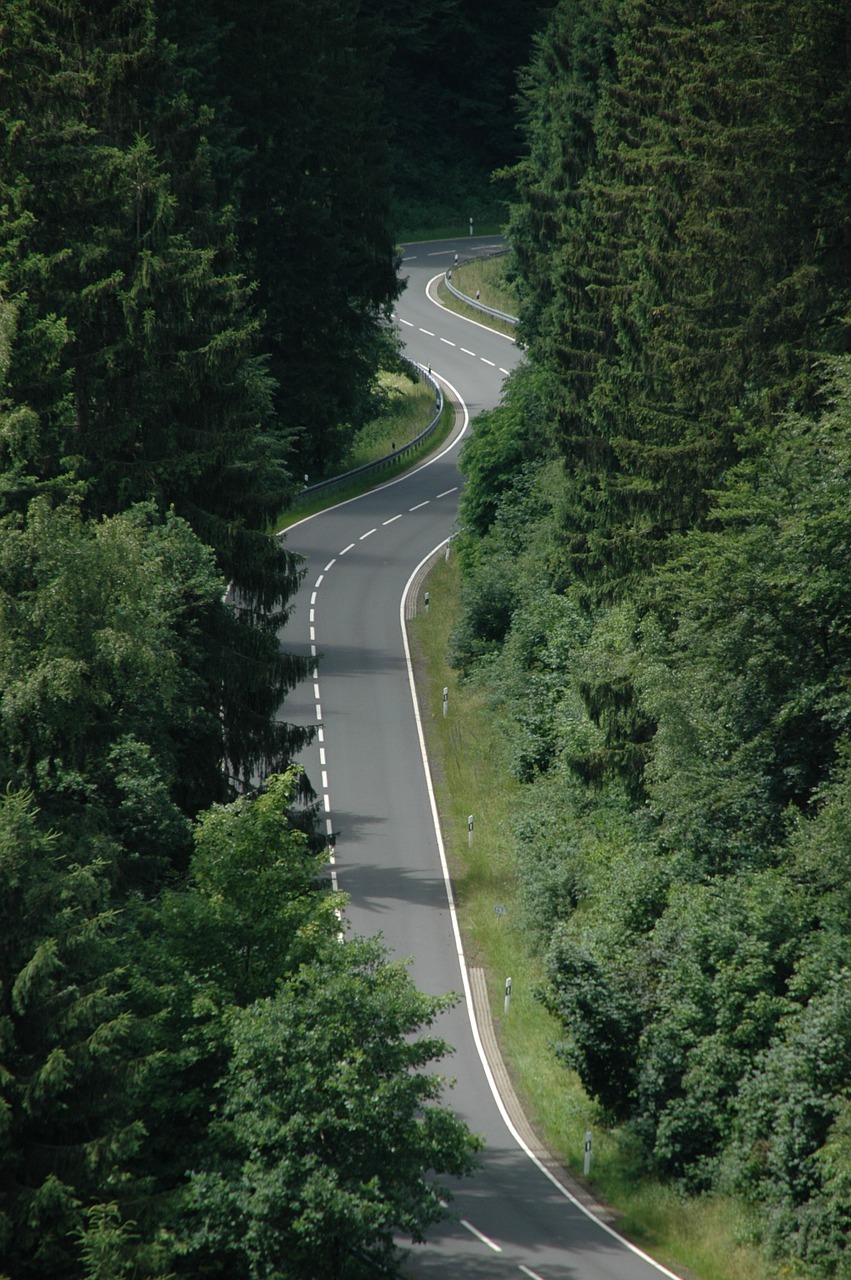 serpentine road in the forest curve free photo