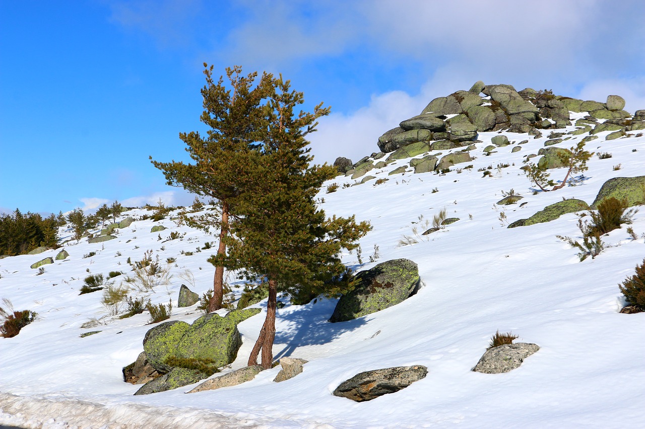 serra da estrela snow winter free photo