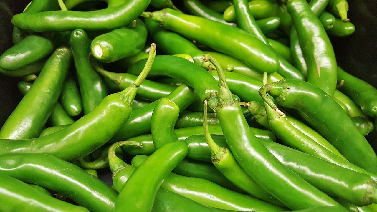 serrano peppers peppers chiles free photo