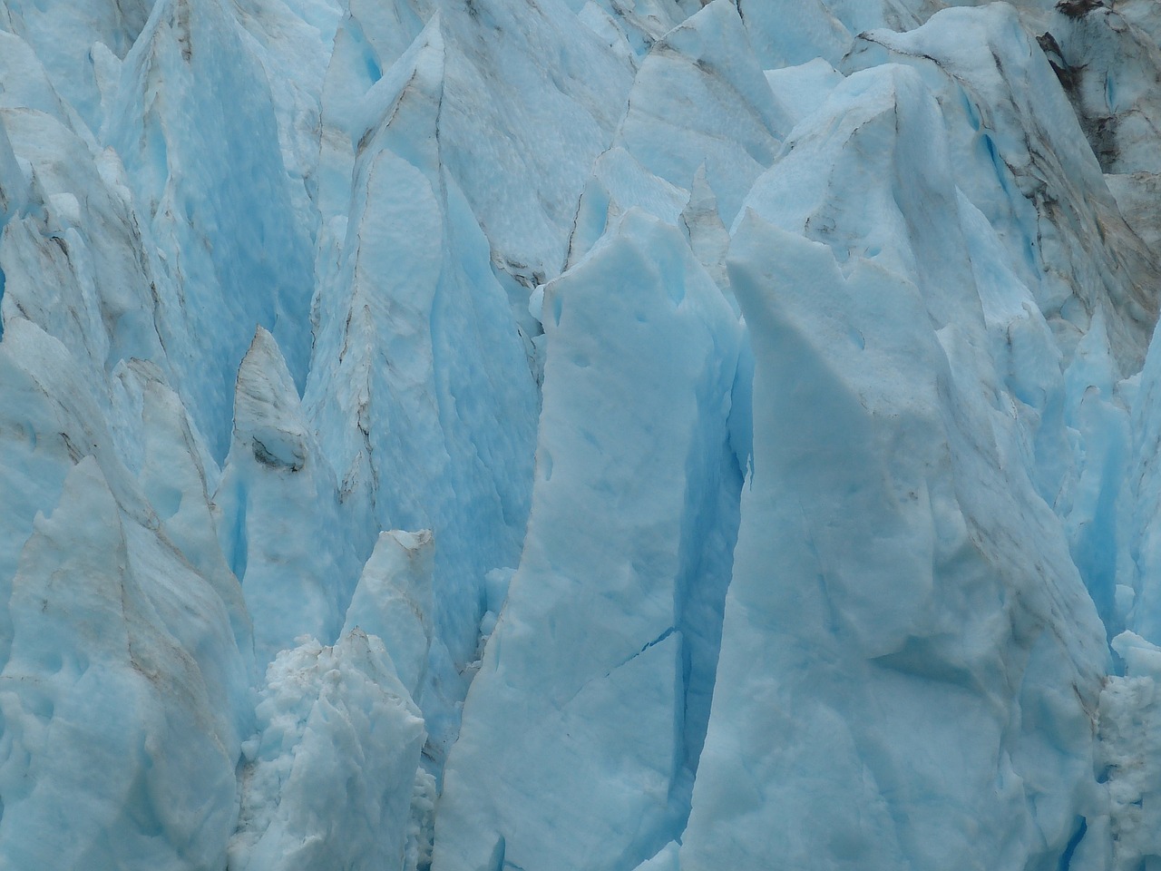 serranogletscher glacier chile free photo