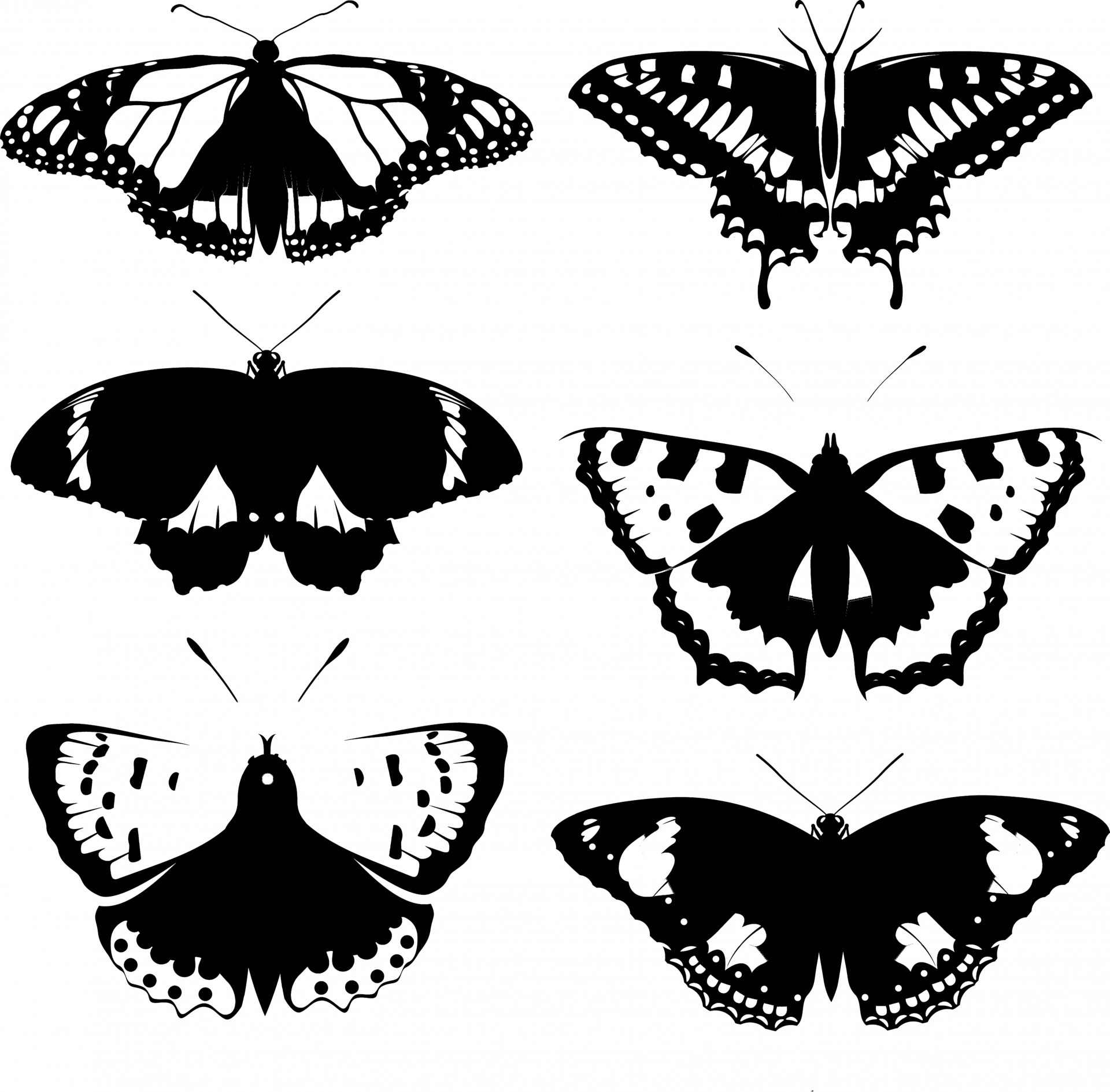 Распечатки бабочек черно. Бабочка чб. Бабочка рисунок. Черно белые бабочки для распечатки. Наклейки бабочки черно белые.