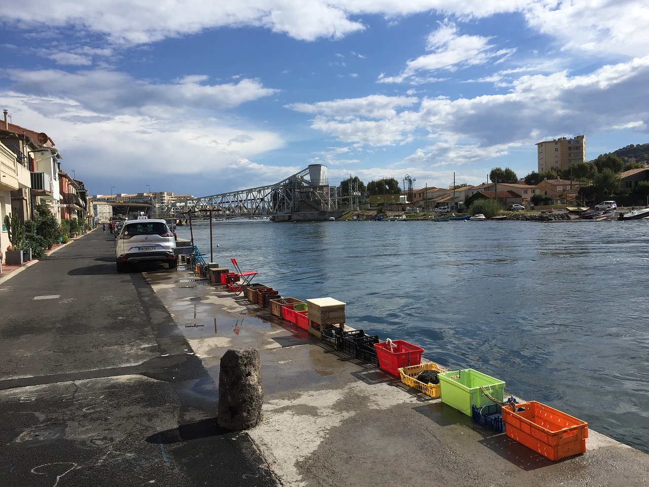 sete fish mediterranean free photo