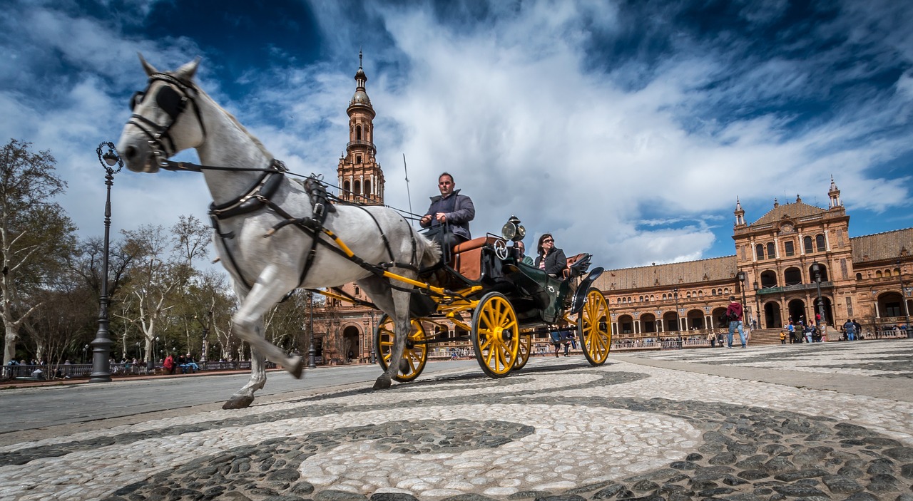 sevilla horse spain free photo