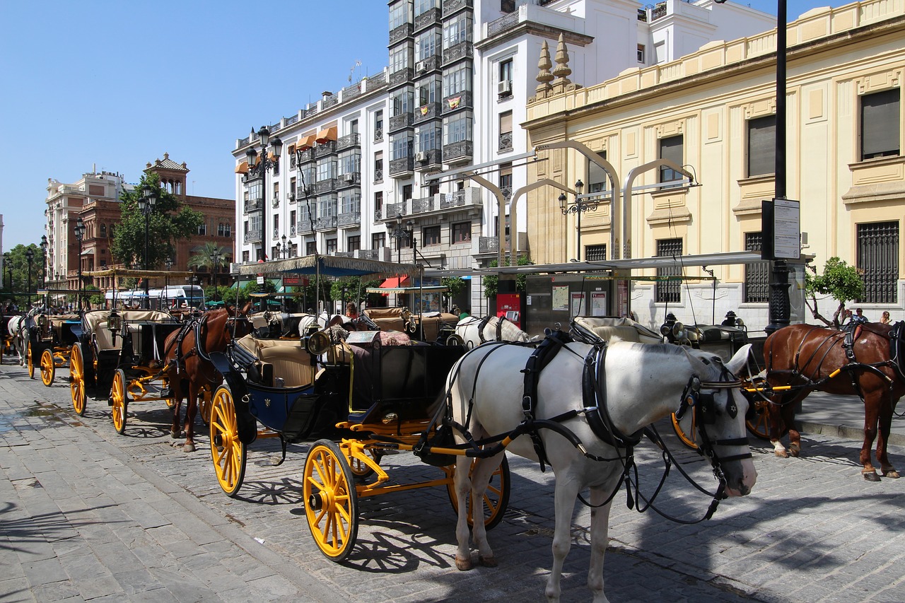 seville  andalusia  spain free photo