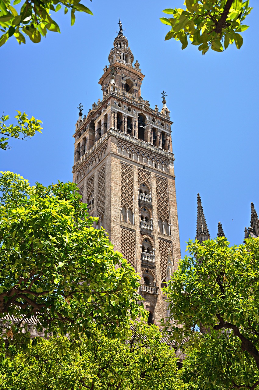 seville andalusia cathedral free photo