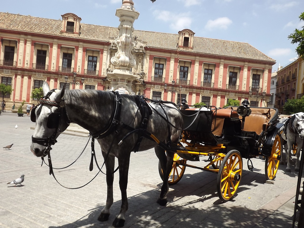 seville horse plaza free photo