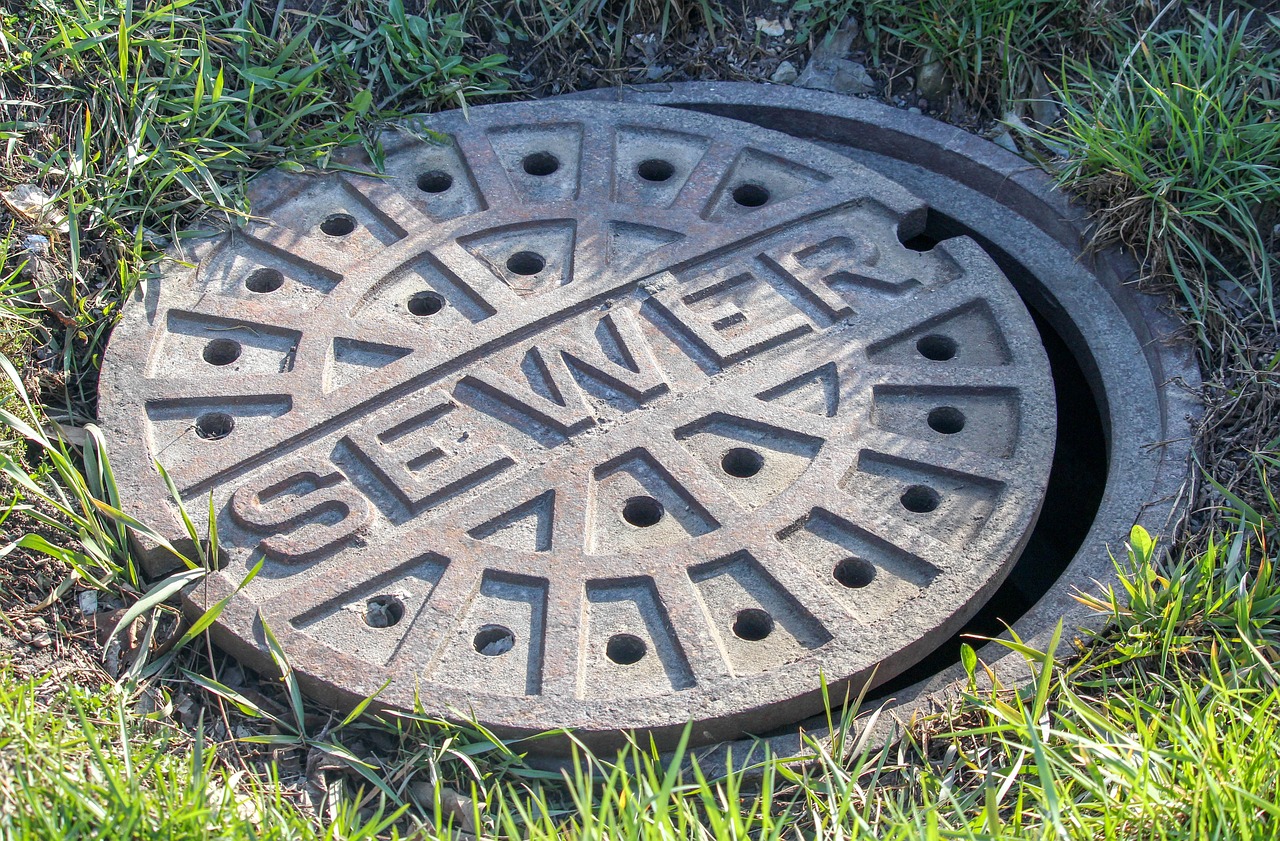 sewer  grass  old free photo