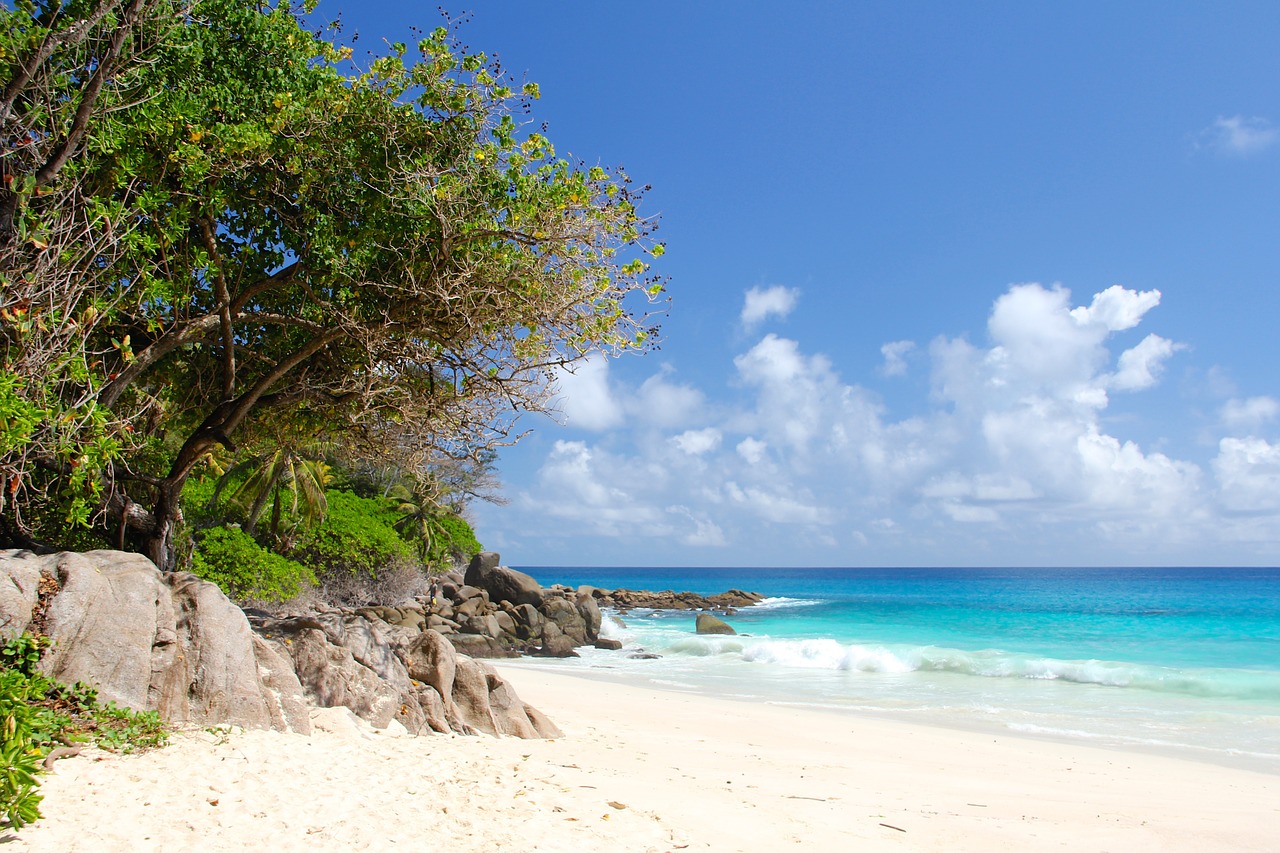 seychelles beach beautiful beach free photo