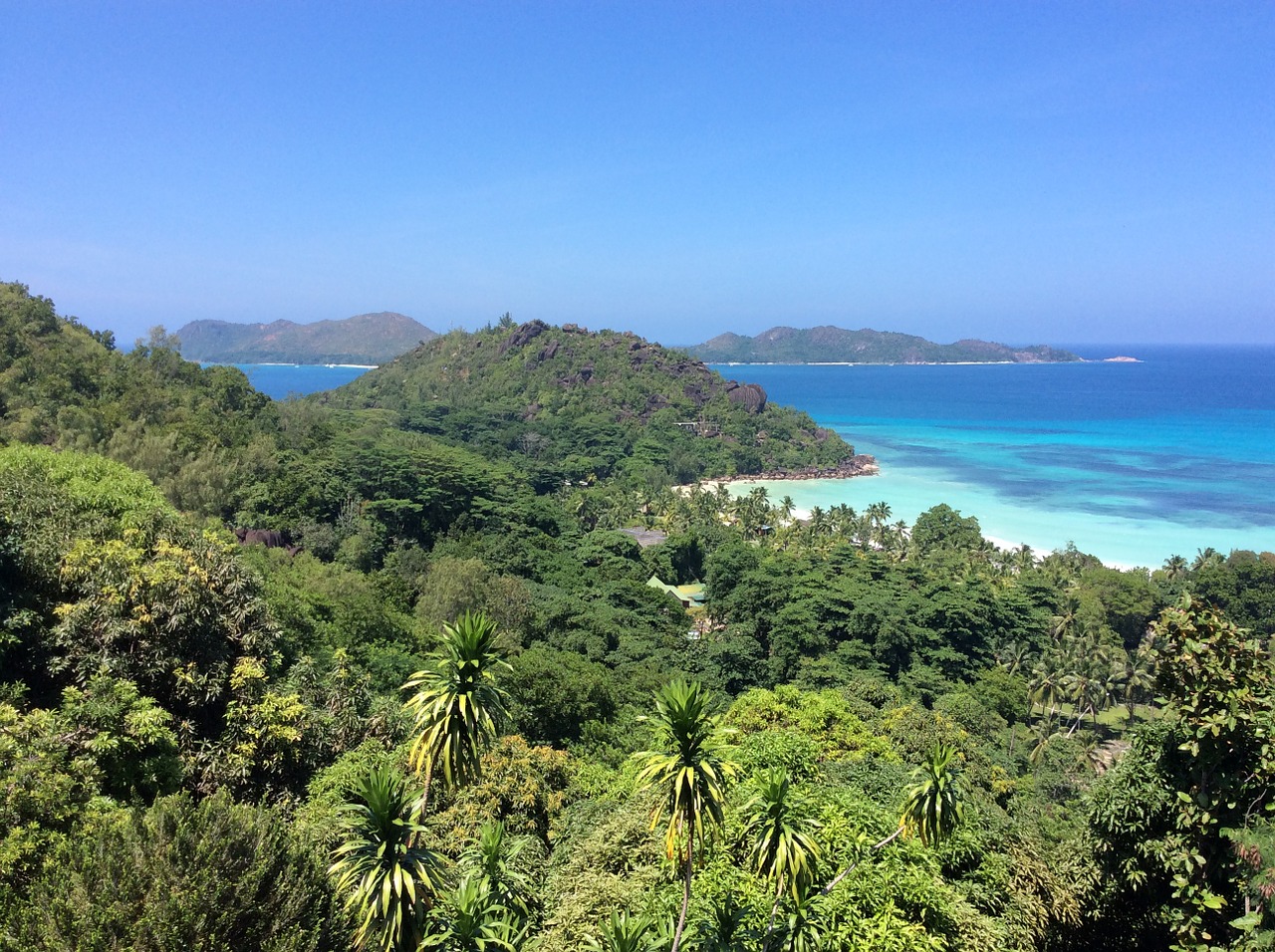 seychelles indian ocean palm trees free photo