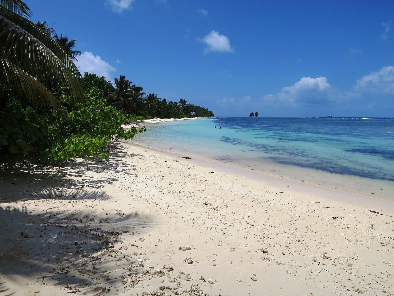 seychelles beautiful beach la dique free photo
