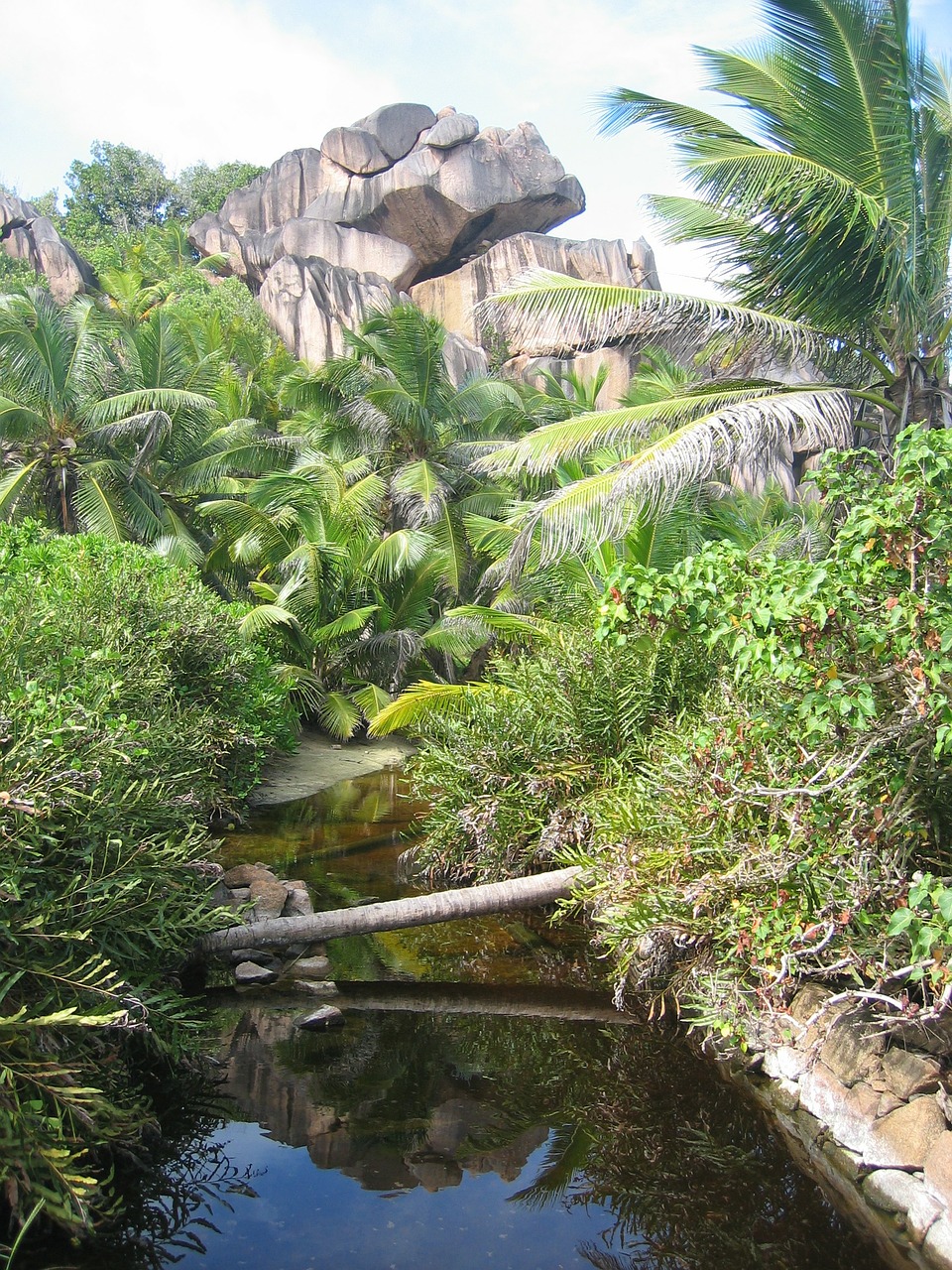 seychelles channel tropical free photo