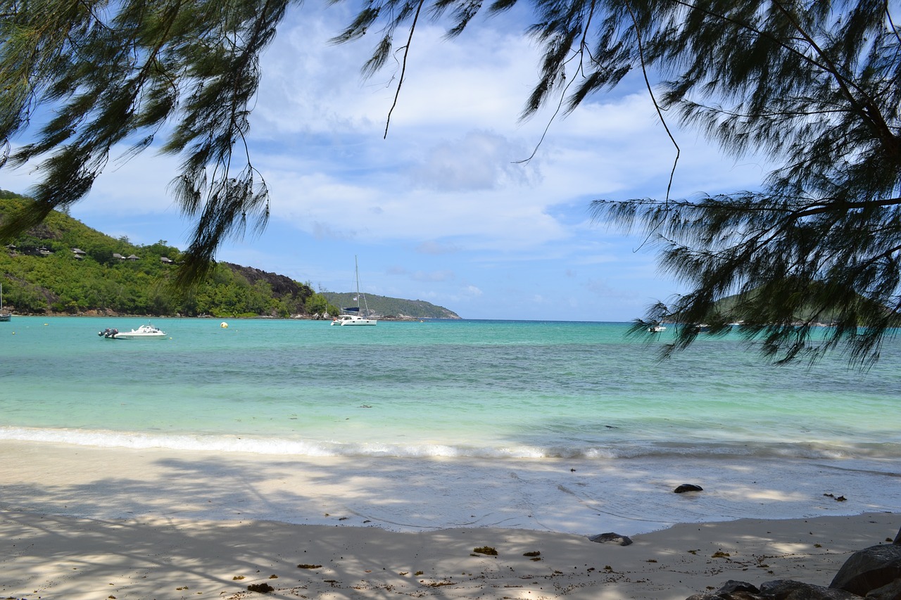 seychelles victoria ocean free photo