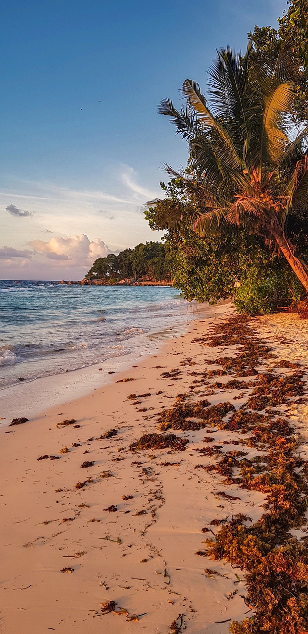 seychelles  sunset  beach free photo