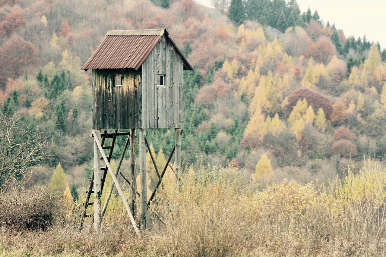 shack shed autumn free photo