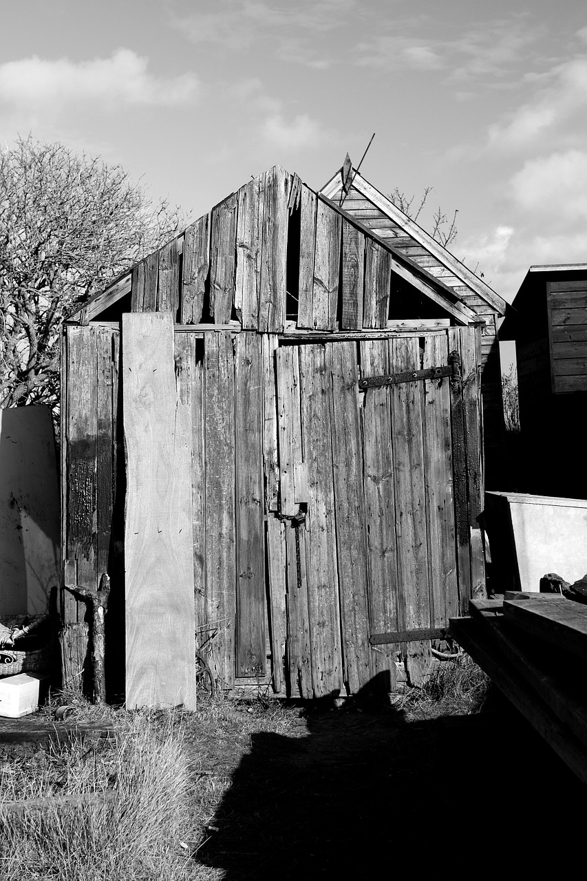 shack hut cabin free photo