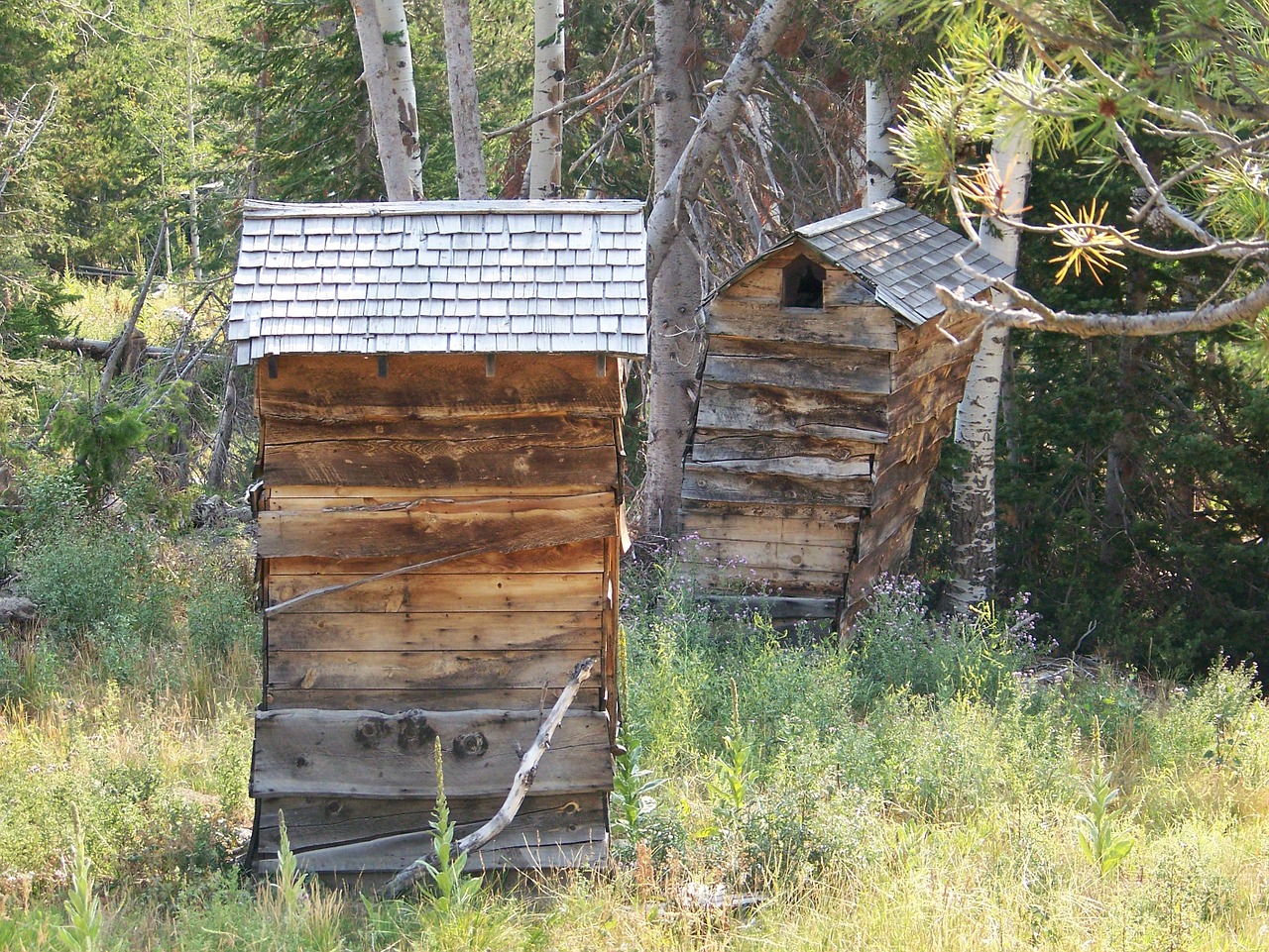 shack outhouse rustic free photo