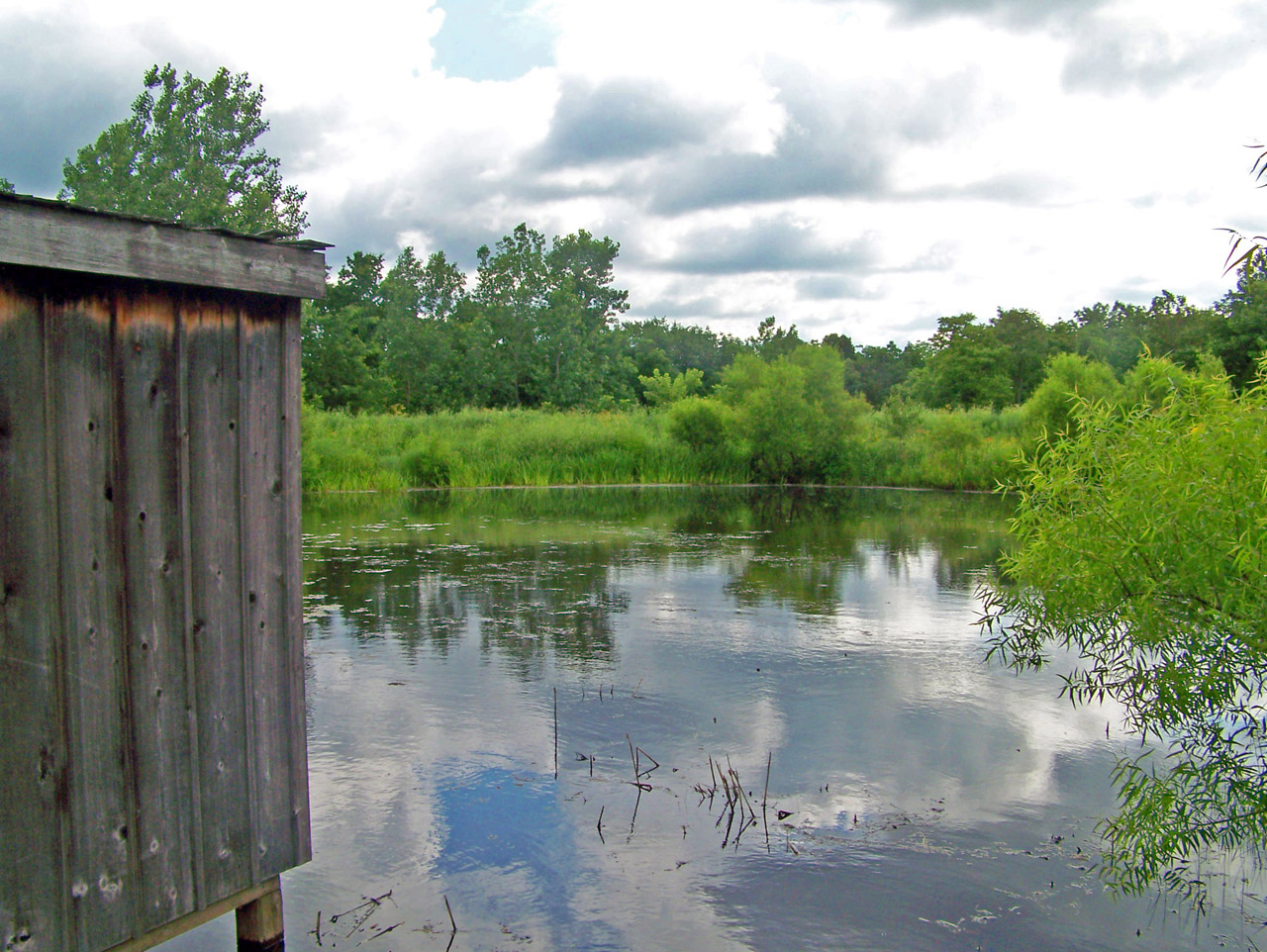 shack pond trees free photo