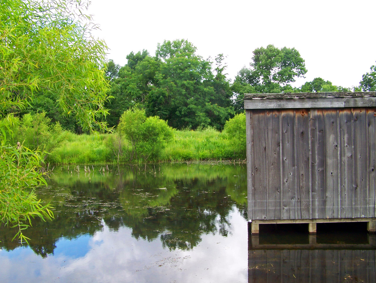 shack pond trees free photo