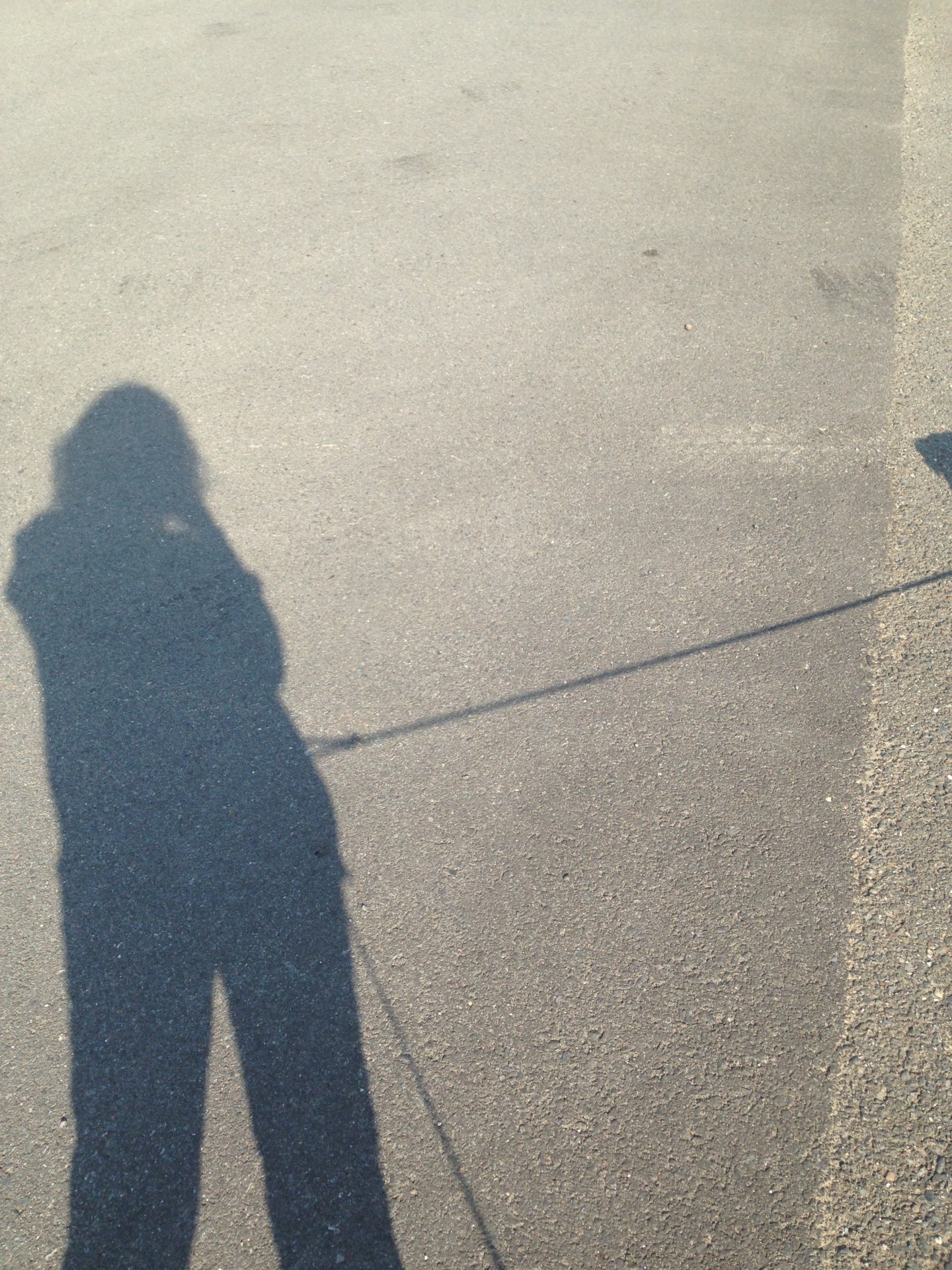 Фото с парнем тень на асфальте
